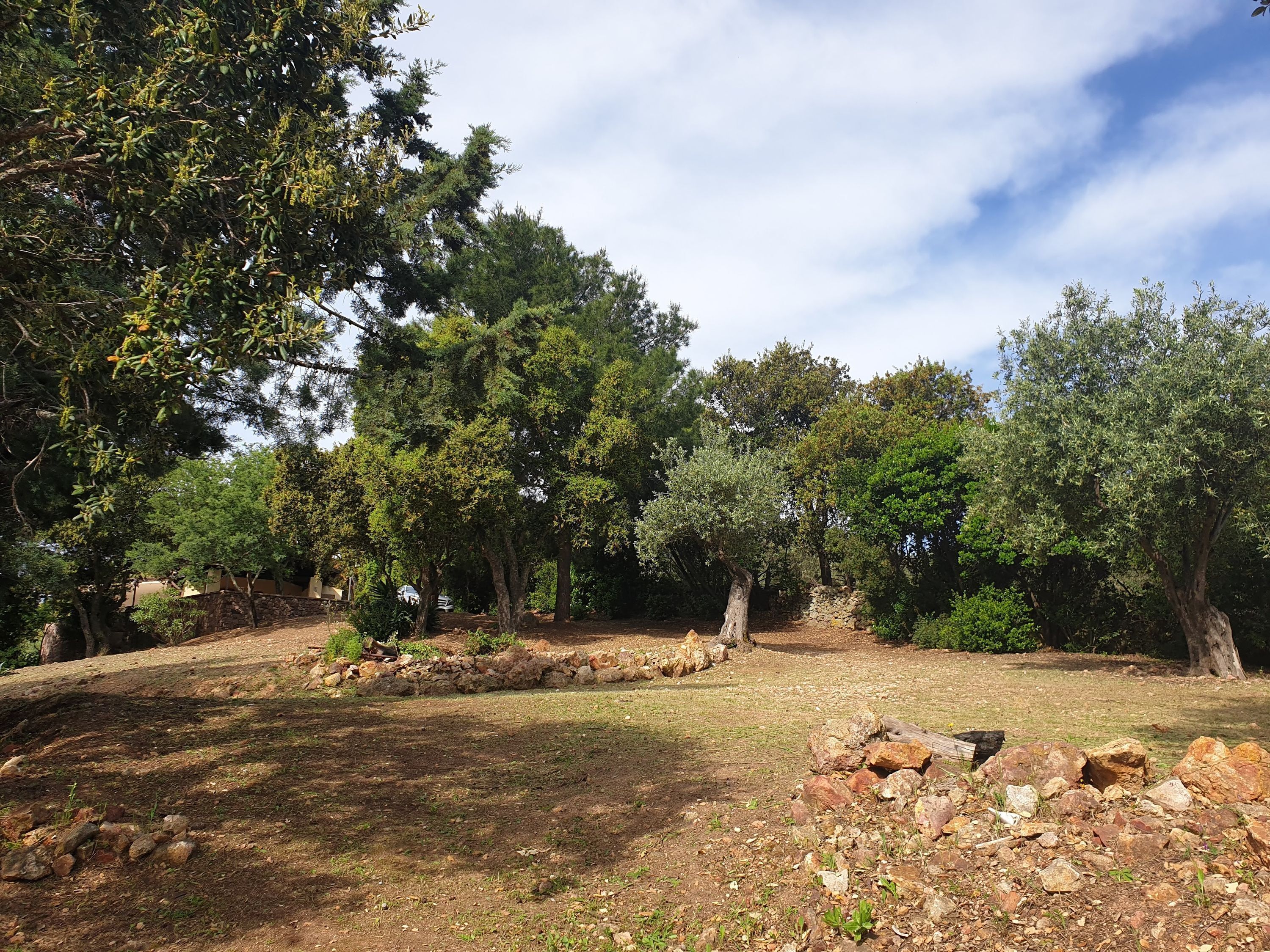 Photo - Sardinia Re - Villa Green Val