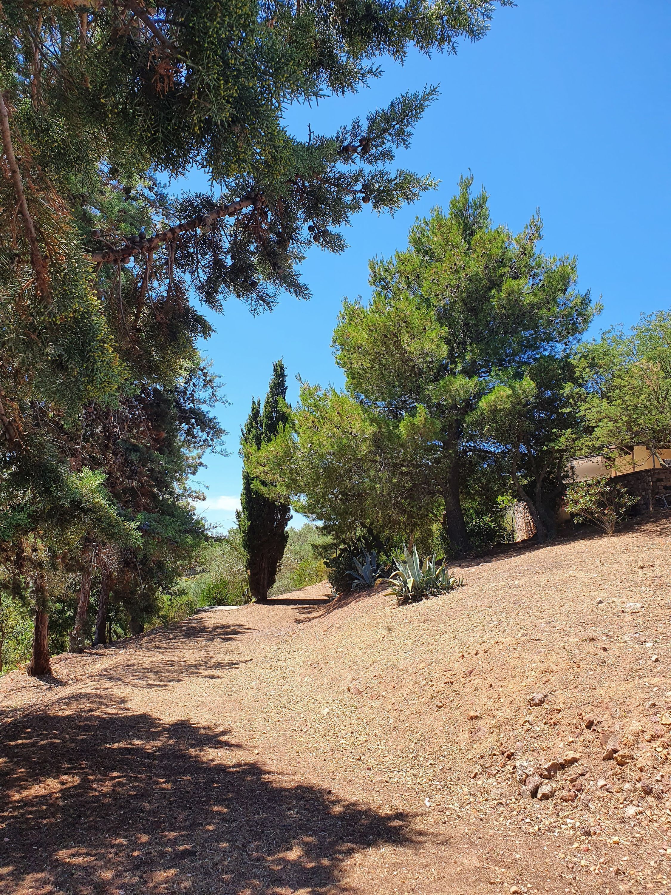 Photo - Sardinia Re - Villa Green Val
