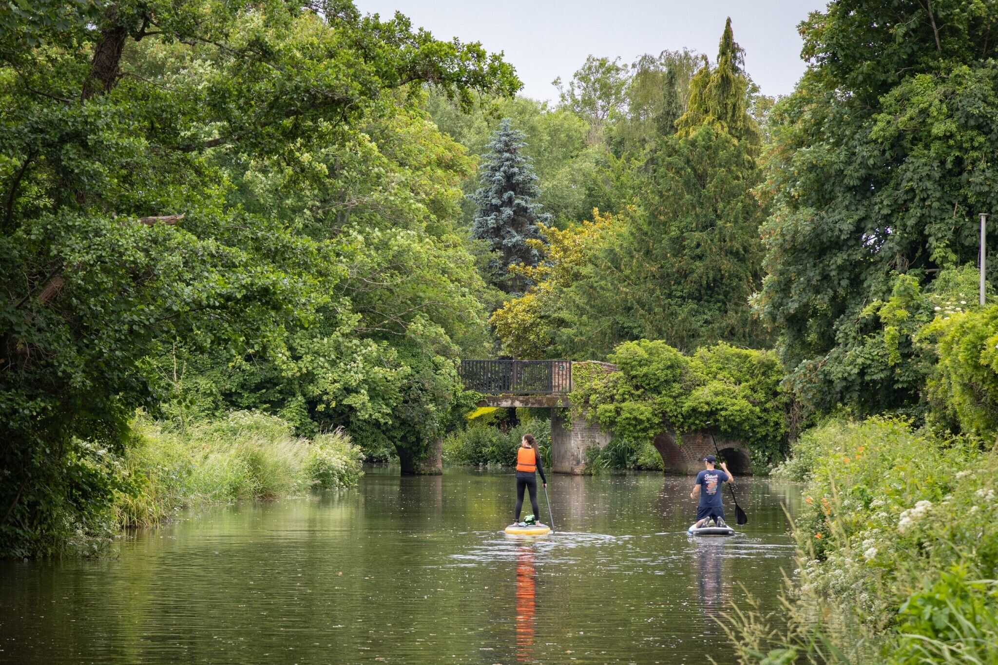 A person paddleboarding on a calm river surrounded by lush greenery.