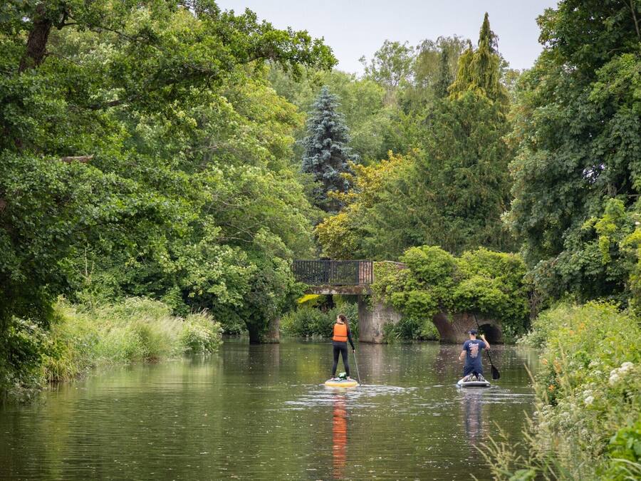 A person paddleboarding on a calm river surrounded by lush greenery.