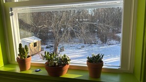 Une fenêtre donnant sur un paysage enneigé, une petite construction en bois et trois plantes en pot posées sur le rebord de la fenêtre.