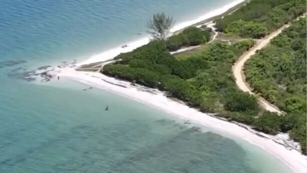 An aerial view of a beach with clear turquoise waters, a sandy shoreline, and dense green vegetation on the adjacent land. - Refuge Brisa do Campo | IG - SOLAR DO CAMPO (Rio de Janeiro)