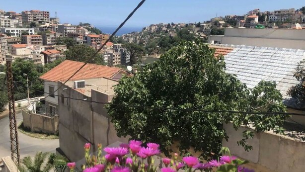 A residential area with a tree and flowers in the foreground, buildings in the background, and a clear sky. - Vacation room (El Biar)
