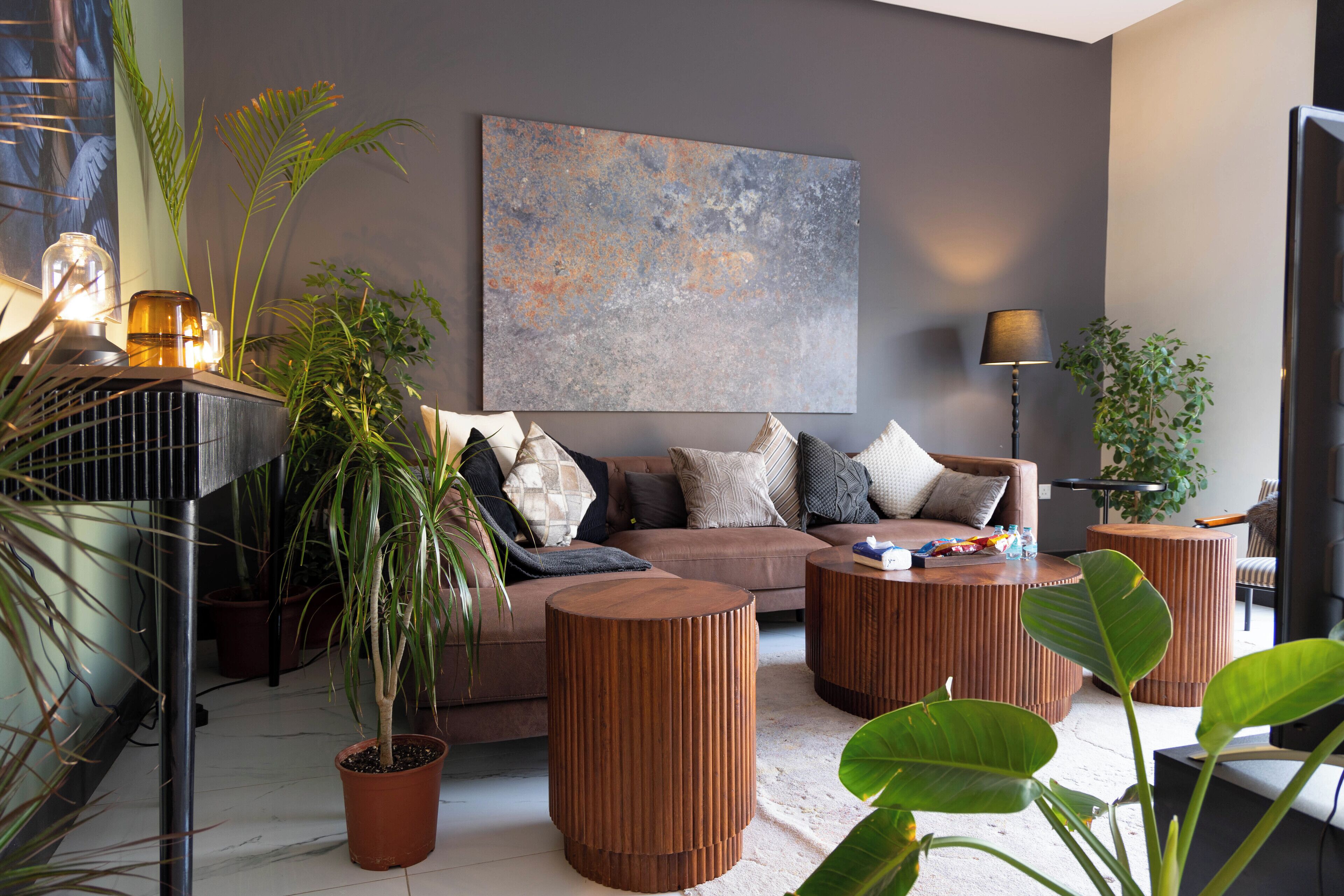 Chalet Confort | Coin séjour | TV connectée