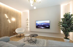 Fernseher, Arbeitsbereiche