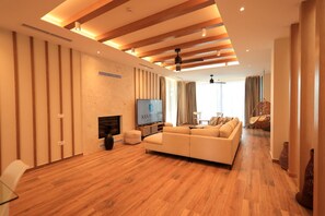 TV, fireplace, offices