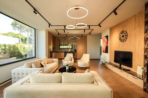 Fernseher, Arbeitsbereiche