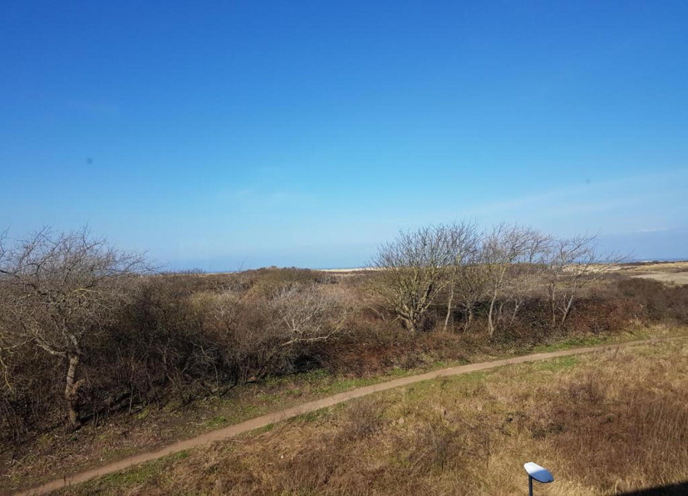 Cielo despejado y un sendero de tierra que atraviesa un paisaje natural con árboles dispersos.
