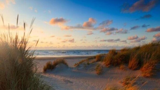 Ein Strand mit Dünen und blauem Himmel.