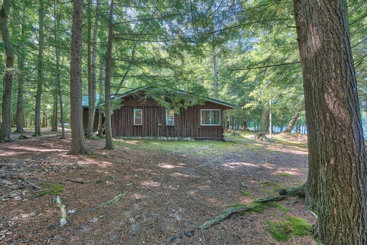 Imagen de perfil del propietario o de la propietaria