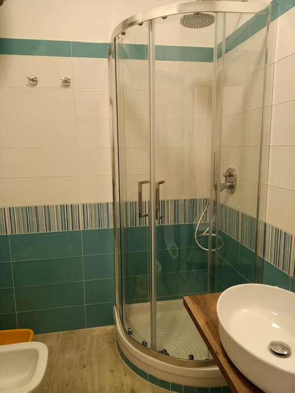 Shower, bidet, towels, toilet paper