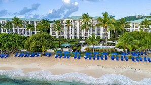 Un hôtel en bord de mer, avec plusieurs étages, des palmiers et une plage de sable fin, agrémentée de chaises longues bleues et de parasols.