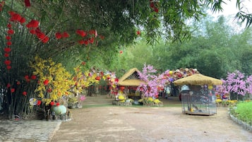 Teras/patio