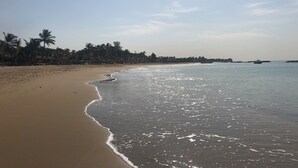 Una playa con arena, palmeras y un mar tranquilo.
