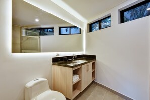 Regadera, secadora de cabello, jabón, shampoo 