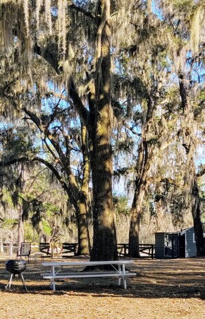 Overnatningsstedets område