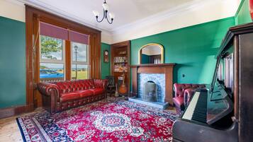 TV, fireplace, books, music library