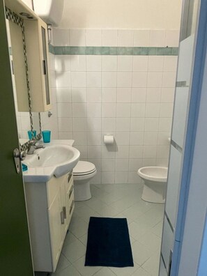 Dusche, Bidet, Handtücher, Toilettenpapier
