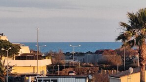 Een woongebied aan de kust, met huizen, een palmboom en uitzicht op zee.