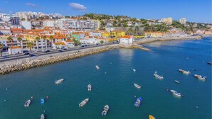 Un paisaje urbano costero con un puerto deportivo lleno de barcos.