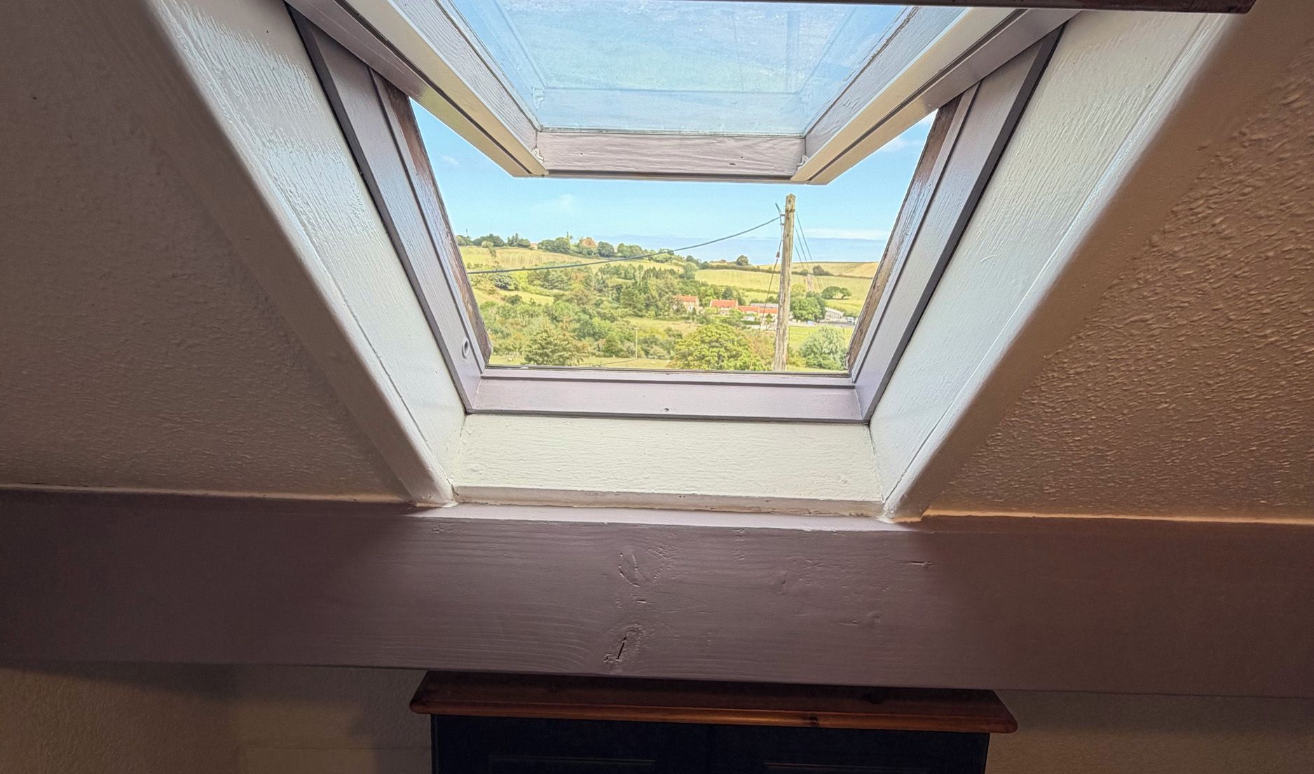 A skylight with a view of a green landscape.