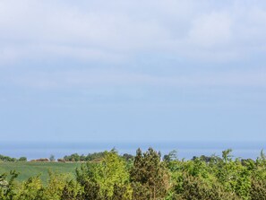 A coastal landscape with a view of the sea and a grassy field.