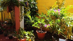 A garden with potted plants and a yellow wall.