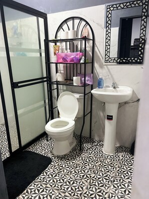 Hair dryer, towels, soap, toilet paper