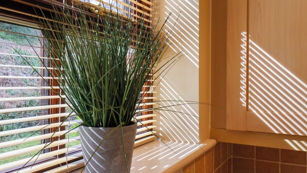 A potted plant on a windowsill with blinds partially open, allowing sunlight to cast shadows on the wall.