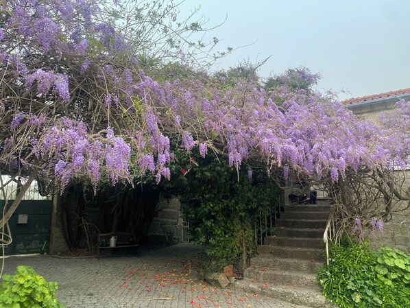 Terrein van de accommodatie