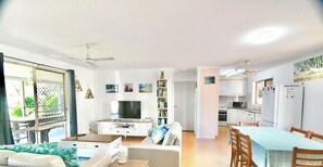 TV, DVD player, books