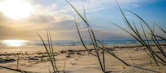 Get-away & Relax on the Esplanade @ 'TOHAJA'