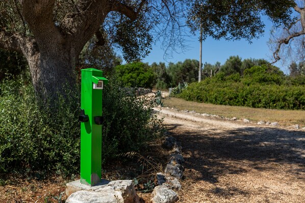 Une boîte électrique verte, posée sur un piédestal en pierre, entourée d’herbe sèche et bordée d’un chemin de terre.