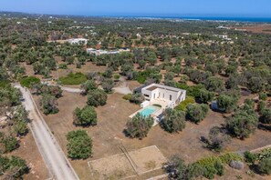 Vista aérea de una propiedad con piscina, rodeada de vegetación exuberante y una vista despejada del mar.
