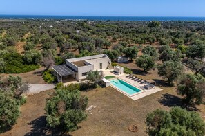 A modern house with a swimming pool, surrounded by olive trees and a view of the sea.