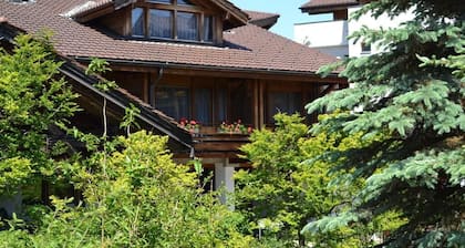 Studio with balcony, Niesen view & parking near Interlaken, Thunersee & Blausee