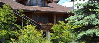 Studio with balcony+Niesen view+free parking near Interlaken Thunersee & Blausee