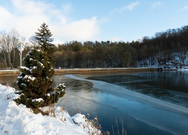 A snow-covered landscape with a frozen lake, a snow-covered tree, and a bridge in the background. - Holiday Apartment With Lake View (Harzgerode)