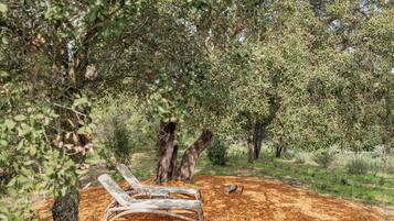 Parco della struttura