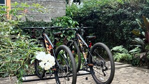 Een fiets geparkeerd op een verhard gebied met een pannendak en een tuin met diverse planten.