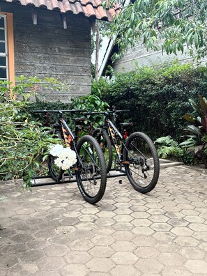A bicycle parked on a paved area with a tiled roof and a garden with various plants. - Amora Villa, Cozy home with a beautiful lush garden, swimming pool, fitness gym. (Arusha)