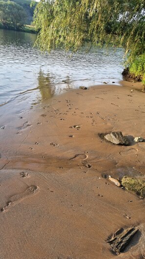 On the beach, sun-loungers, beach towels - Vacation apartment in prime location on the Moselle with balcony & garden. (Brauneberg)