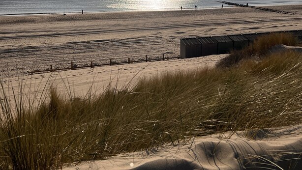 A beach with a clear sky, the sun shining, and a sandy area with some vegetation in the foreground.