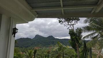 Un balcón techado con plantas en macetas y vistas a un paisaje montañoso.