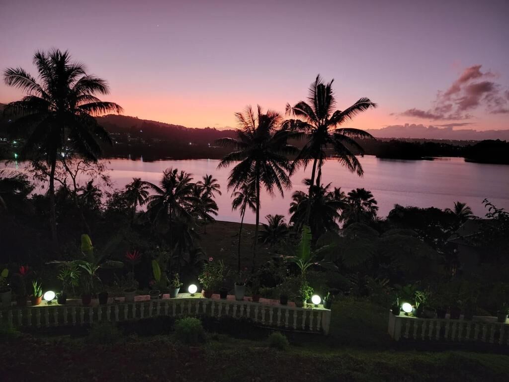 Una vista serena de un lago al anochecer, con palmeras y un sendero iluminado.