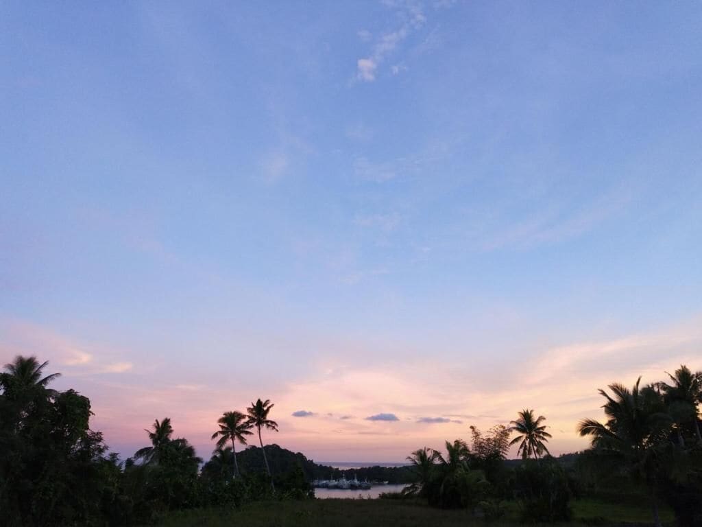 Une vue au coucher du soleil, avec des palmiers et une étendue d’eau.