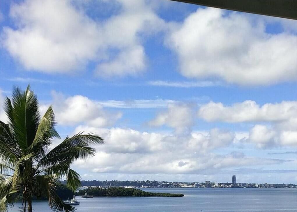 A coastal view with a clear sky, palm trees, and a distant cityscape.