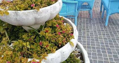 Cozy apartment for singles, couples and families. Large terrace