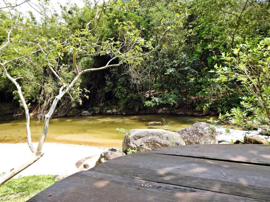 A natural outdoor setting with a wooden bench, a small stream, and dense greenery.