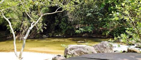 A natural outdoor setting with a wooden bench, a small stream, and dense greenery.